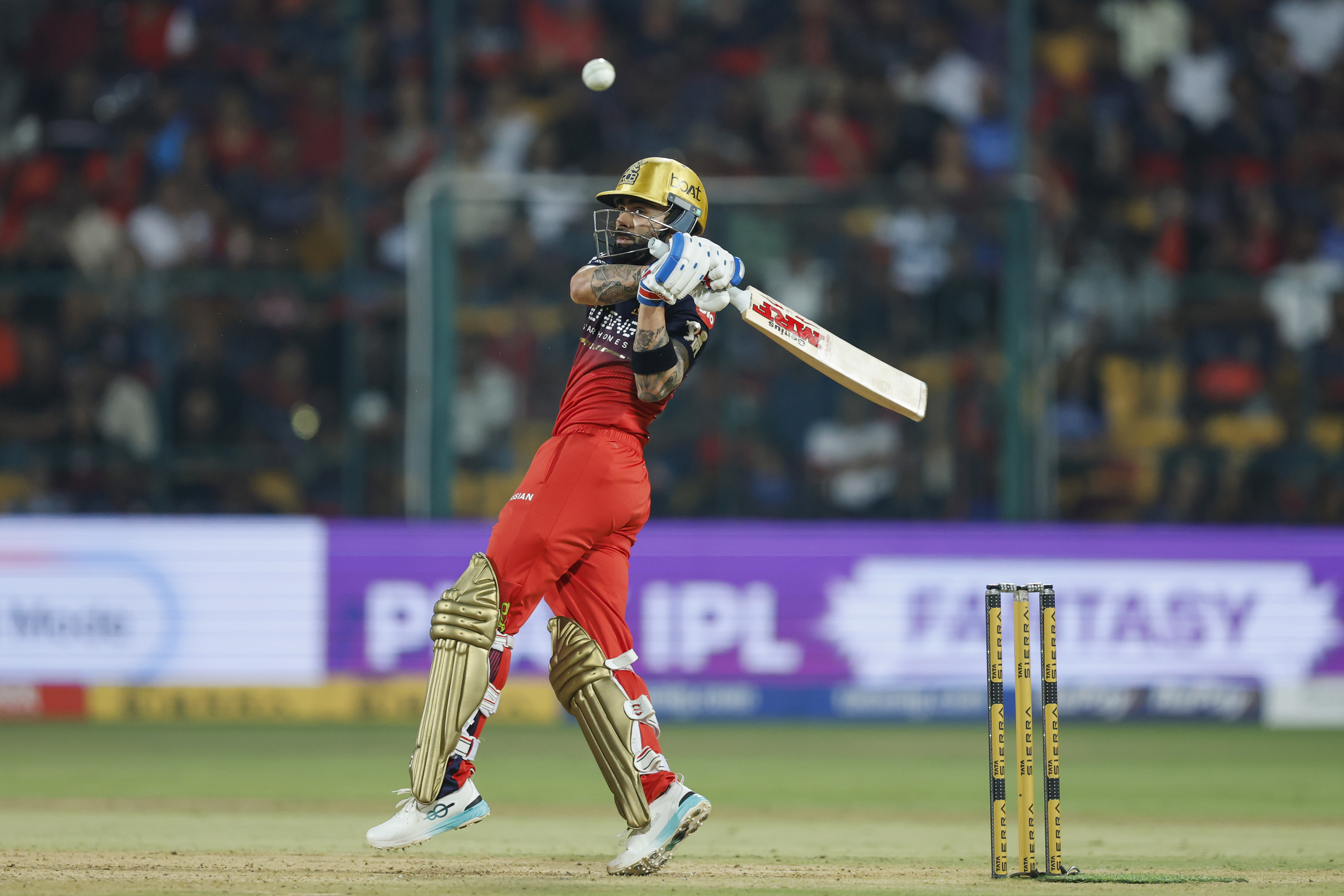 RCB won by 5 wickets