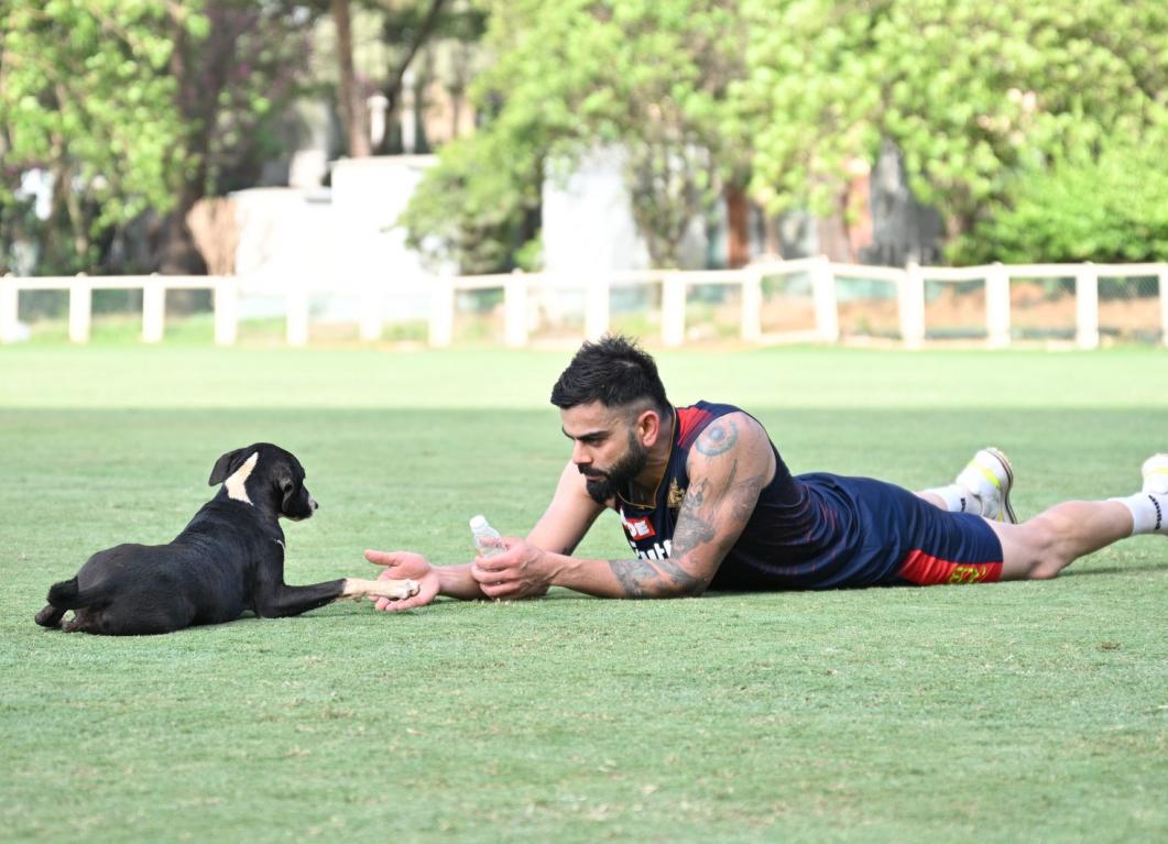 Royal Challengers Bangalore to sport green jerseys on 8th May vs SRH