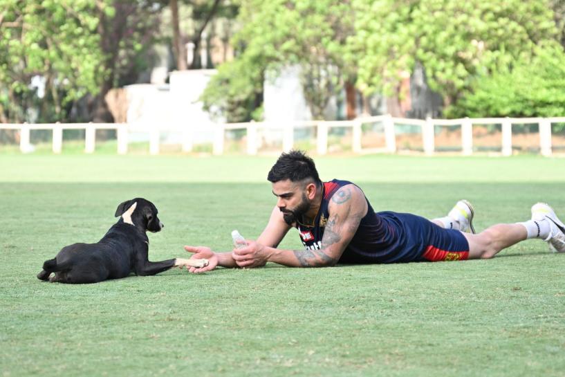 Royal Challengers Bangalore to sport green jerseys on 8th May vs SRH